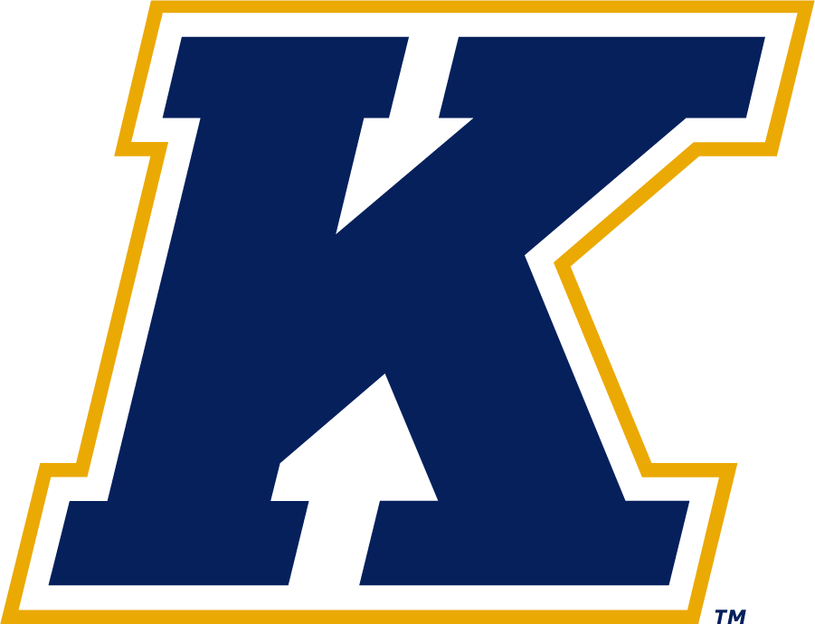 Kent State Golden Flashes 2017-Pres Secondary Logo DIY iron on transfer (heat transfer)